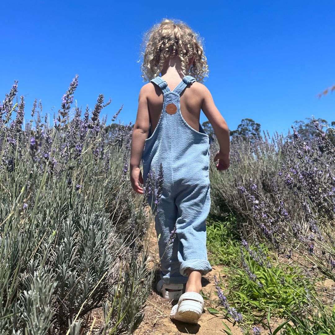 girl wearing her Kids and toddlers blue corduroy overalls or dungarees in a field of flowers